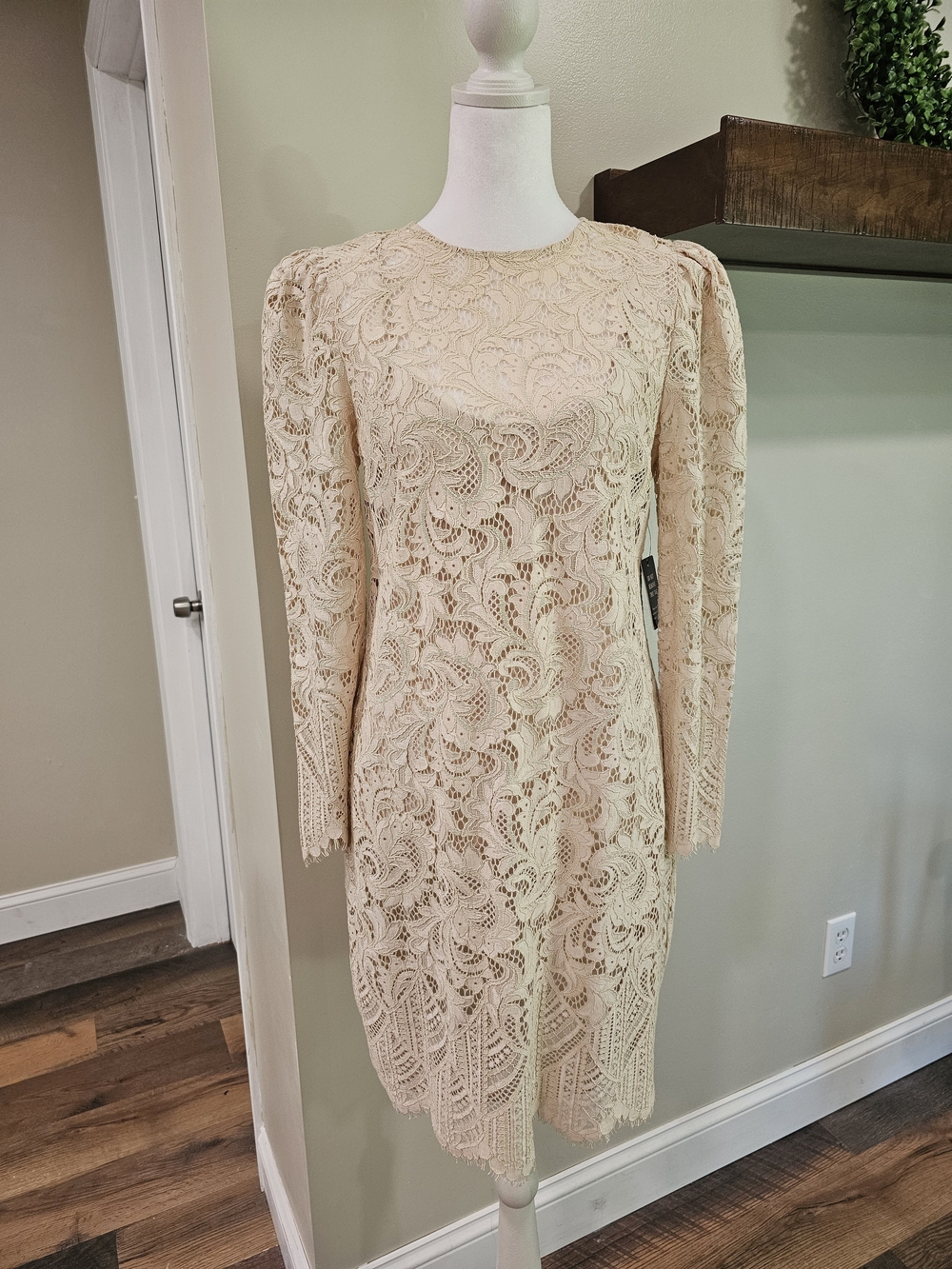 EXPRESS Lined Lace Long-Sleeve Women's Dress